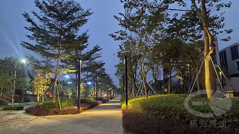 創(chuàng)意園區(qū)夜景照明實(shí)拍圖