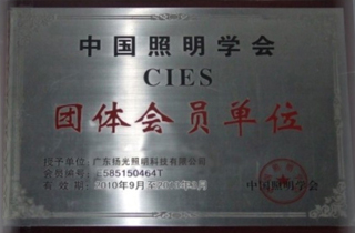 �Ї������W(xu��)���F(tu��n)�w���T