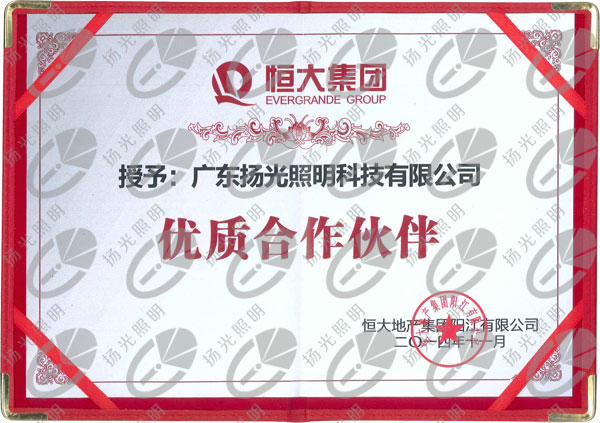 恒大集團(tuán)優(yōu)質(zhì)合作伙伴證書