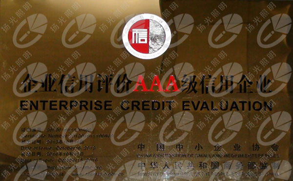 守信用評(píng)價(jià)AAA級(jí)信用企業(yè)